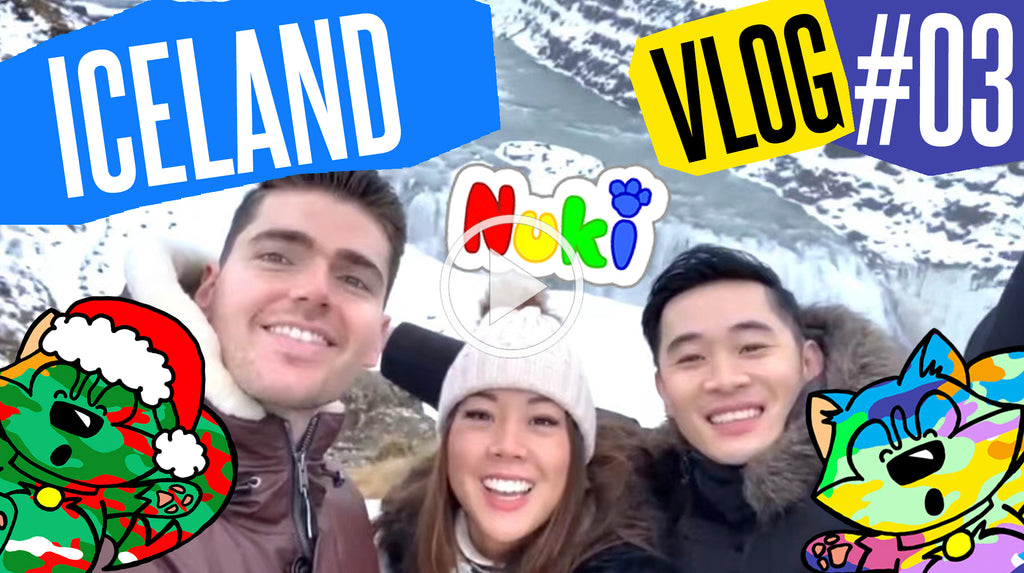 [Vlog #3] BEAUTIFUL ICELAND!!!!!❄️❄️❄️ | #LifeIsNuki